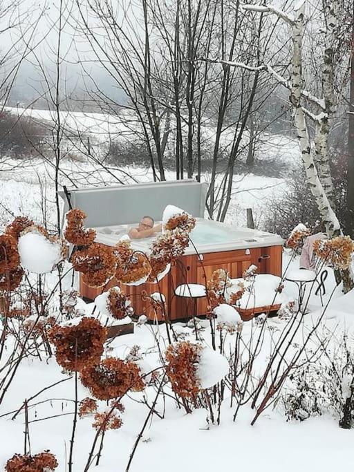 Gite De Charme 5 Etoiles Pour Couple Avec Sauna Et Jacuzzi Exterieurs Privatifs Peaugres Luaran gambar